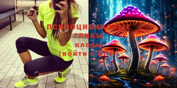 дживик Вязники