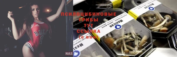 дживик Вязники