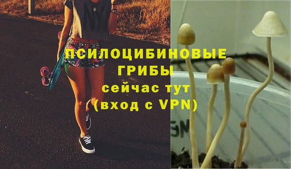дживик Вязники