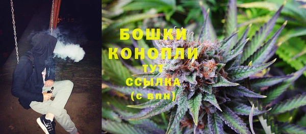 дживик Вязники