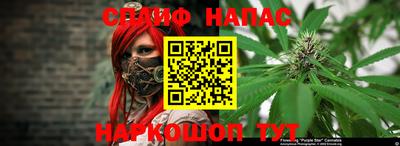 шишки Ипатово