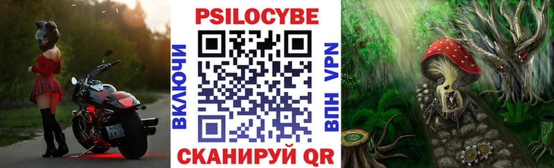 Галлюциногенные грибы Magic Shrooms  Мытищи 
