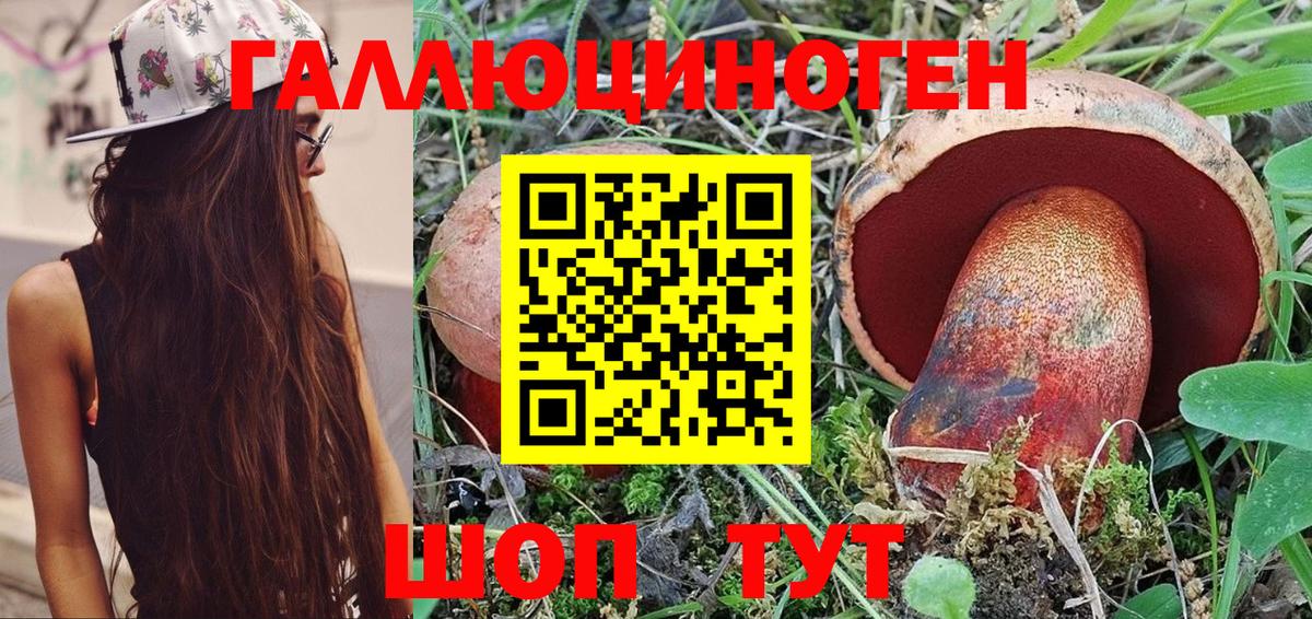 Мытищи  Галлюциногенные грибы мухоморы  даркнет сайт  Псилоцибиновые грибы GOLDEN TEACHER  Вход с VPN 